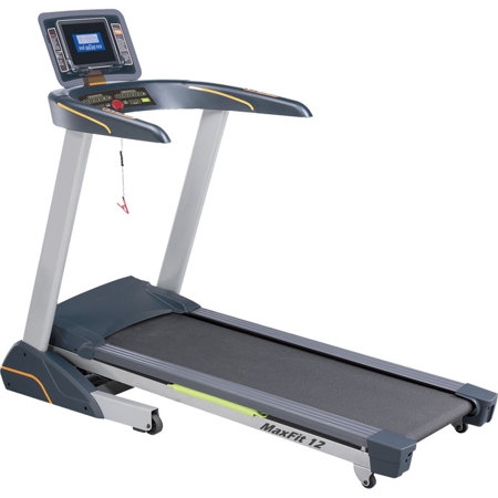 ������� ������� MAXFIT 12